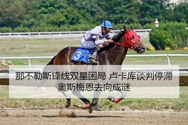 那不勒斯锋线双星困局 卢卡库谈判停滞 奥斯梅恩去向成谜